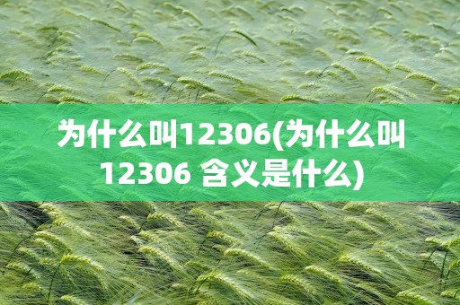 为什么叫12306(为什么叫12306 含义是什么)