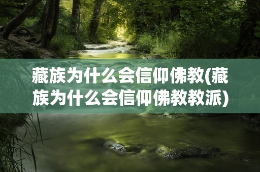 藏族为什么会信仰佛教(藏族为什么会信仰佛教教派)