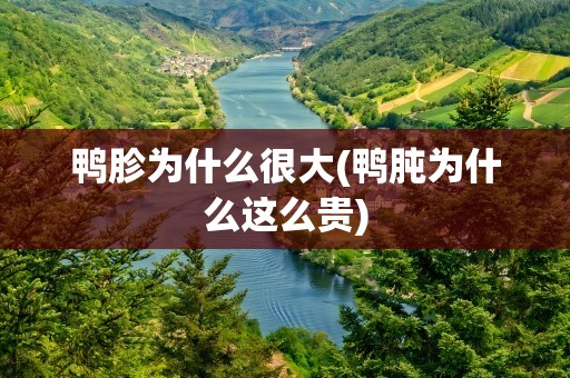 鸭胗为什么很大(鸭肫为什么这么贵)