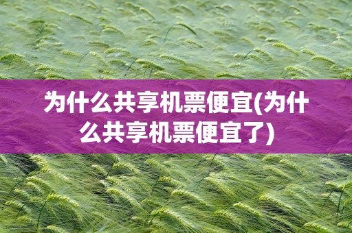 为什么共享机票便宜(为什么共享机票便宜了)