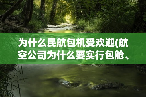为什么民航包机受欢迎(航空公司为什么要实行包舱、包板、包机运输？)