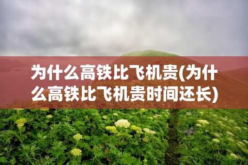 为什么高铁比飞机贵(为什么高铁比飞机贵时间还长)