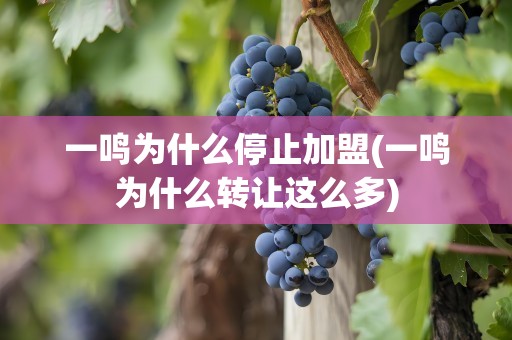 一鸣为什么停止加盟(一鸣为什么转让这么多)