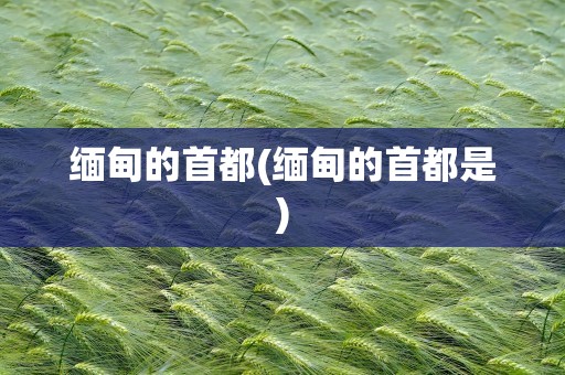 缅甸的首都(缅甸的首都是)
