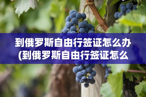 到俄罗斯自由行签证怎么办(到俄罗斯自由行签证怎么办理)