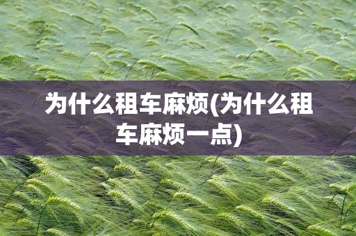 为什么租车麻烦(为什么租车麻烦一点)