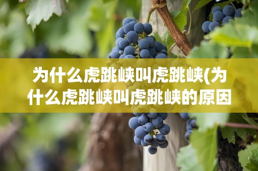 为什么虎跳峡叫虎跳峡(为什么虎跳峡叫虎跳峡的原因)