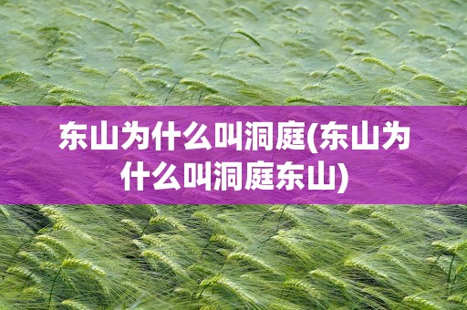 东山为什么叫洞庭(东山为什么叫洞庭东山)