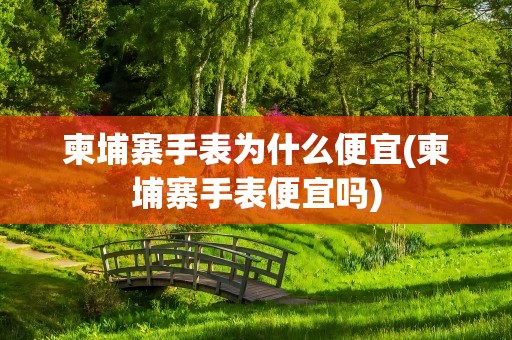 柬埔寨手表为什么便宜(柬埔寨手表便宜吗)