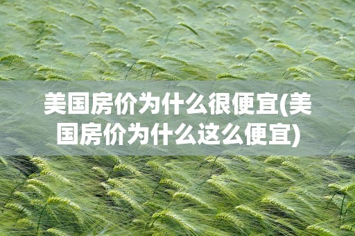 美国房价为什么很便宜(美国房价为什么这么便宜)