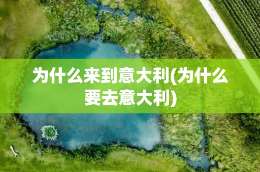 为什么来到意大利(为什么要去意大利)