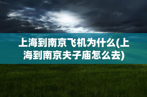 上海到南京飞机为什么(上海到南京夫子庙怎么去)