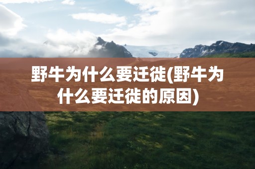 野牛为什么要迁徙(野牛为什么要迁徙的原因)