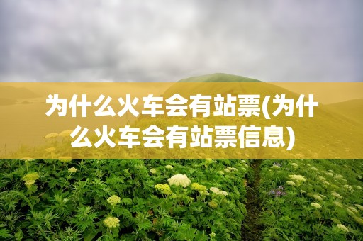 为什么火车会有站票(为什么火车会有站票信息)