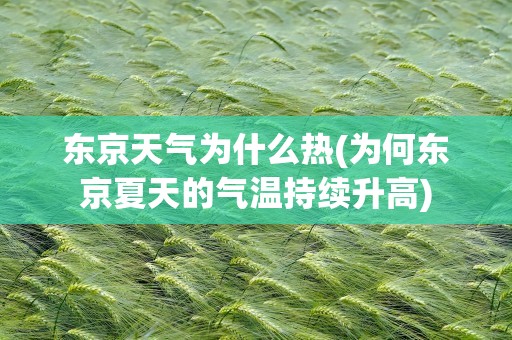 东京天气为什么热(为何东京夏天的气温持续升高)