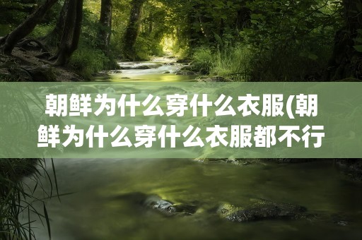 朝鲜为什么穿什么衣服(朝鲜为什么穿什么衣服都不行)