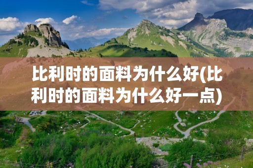 比利时的面料为什么好(比利时的面料为什么好一点)