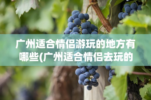 广州适合情侣游玩的地方有哪些(广州适合情侣去玩的地方有哪些)