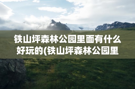 铁山坪森林公园里面有什么好玩的(铁山坪森林公园里面有什么好玩的地方)