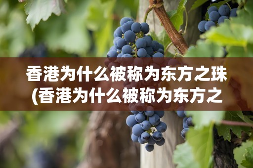 香港为什么被称为东方之珠(香港为什么被称为东方之珠视频)