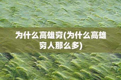 为什么高雄穷(为什么高雄穷人那么多)