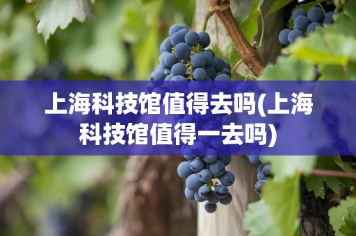 上海科技馆值得去吗(上海科技馆值得一去吗)