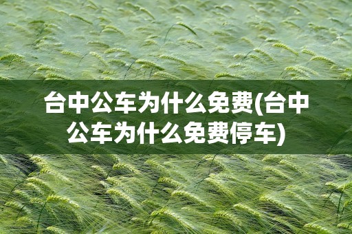 台中公车为什么免费(台中公车为什么免费停车)
