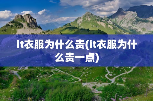 it衣服为什么贵(it衣服为什么贵一点)