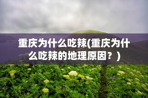 重庆为什么吃辣(重庆为什么吃辣的地理原因？)