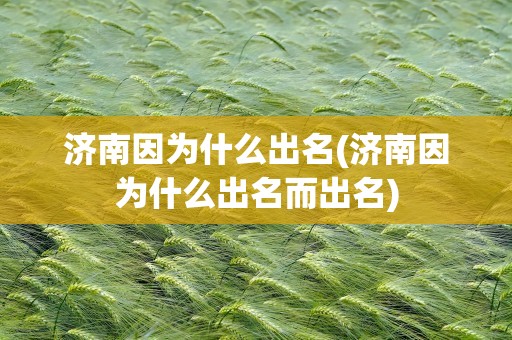 济南因为什么出名(济南因为什么出名而出名)
