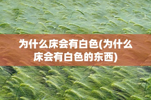 为什么床会有白色(为什么床会有白色的东西)