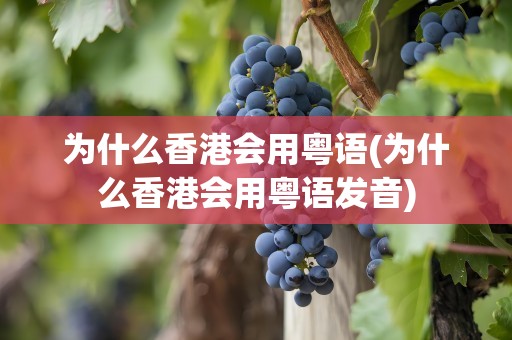 为什么香港会用粤语(为什么香港会用粤语发音)