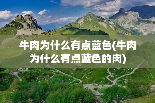 牛肉为什么有点蓝色(牛肉为什么有点蓝色的肉)