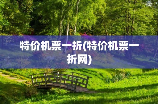 特价机票一折(特价机票一折网)