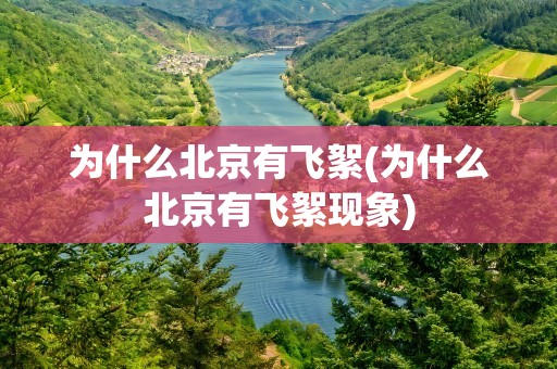 为什么北京有飞絮(为什么北京有飞絮现象)