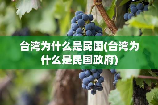 台湾为什么是民国(台湾为什么是民国政府)
