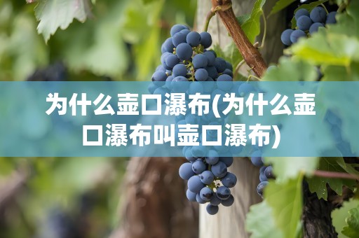 为什么壶口瀑布(为什么壶口瀑布叫壶口瀑布)