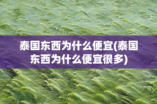 泰国东西为什么便宜(泰国东西为什么便宜很多)