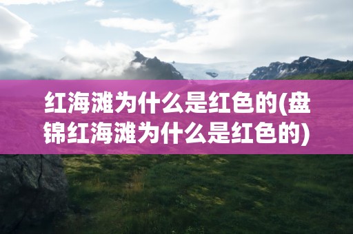 红海滩为什么是红色的(盘锦红海滩为什么是红色的)