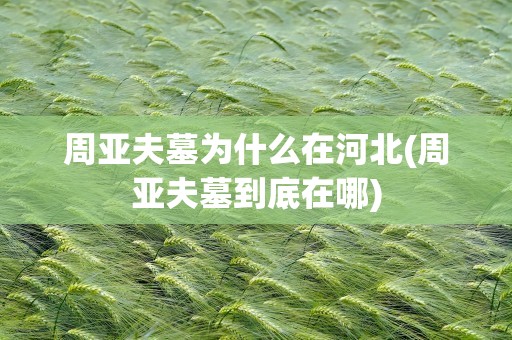 周亚夫墓为什么在河北(周亚夫墓到底在哪)