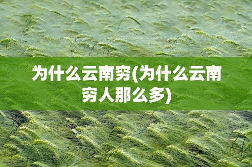 为什么云南穷(为什么云南穷人那么多)