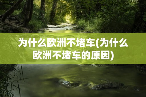 为什么欧洲不堵车(为什么欧洲不堵车的原因)