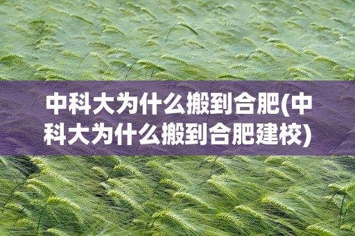 中科大为什么搬到合肥(中科大为什么搬到合肥建校)