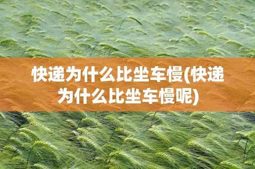 快递为什么比坐车慢(快递为什么比坐车慢呢)