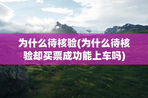 为什么待核验(为什么待核验却买票成功能上车吗)