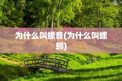 为什么叫螺音(为什么叫螺蛳)