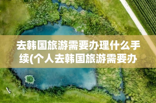 去韩国旅游需要办理什么手续(个人去韩国旅游需要办理什么手续)