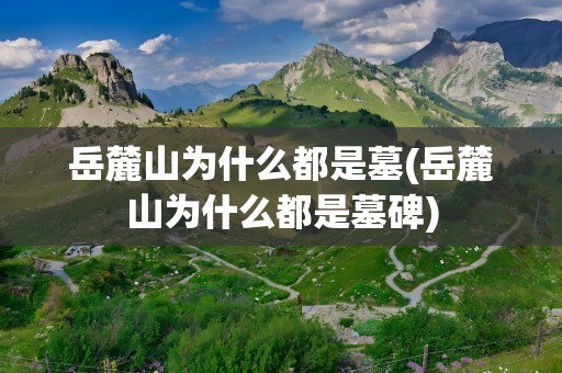 岳麓山为什么都是墓(岳麓山为什么都是墓碑)