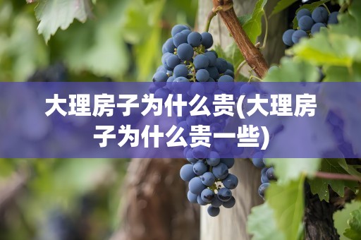 大理房子为什么贵(大理房子为什么贵一些)