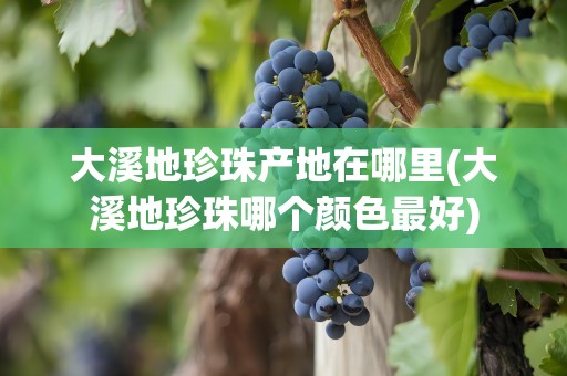 大溪地珍珠产地在哪里(大溪地珍珠哪个颜色最好)